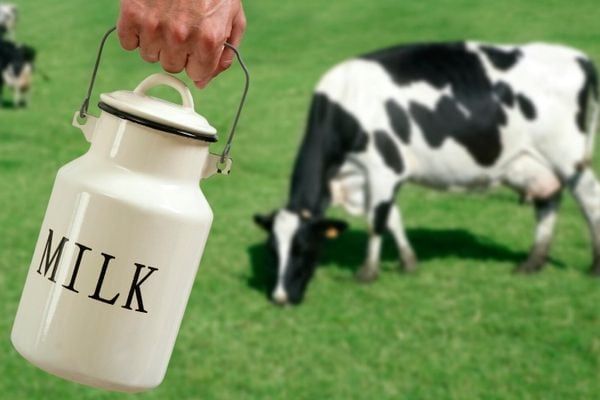 5 lý do ba mẹ nên cho bé uống sữa Organic